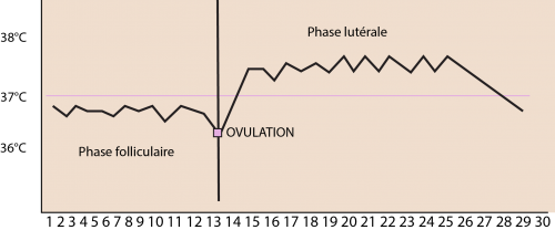 Courbe température - Expected Jo